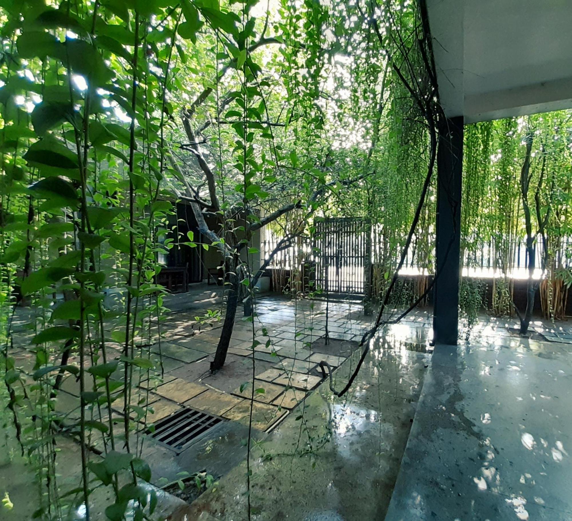 Isi Arana Eco Villa Anuradhapura Kültér fotó